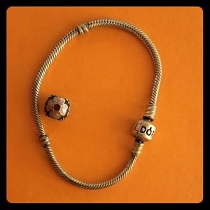 Pandora Bracelet and Charm